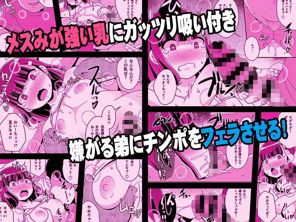 ナマイキ弟の精嚢をこねくり回してメス♂にする本