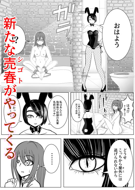 TS娘監禁中。-TSをする。性奴●になる。2-