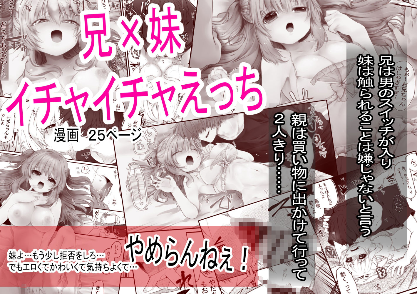 【成人向け/兄×妹】仲のいい兄妹が親のいない間にエッチしちゃう話