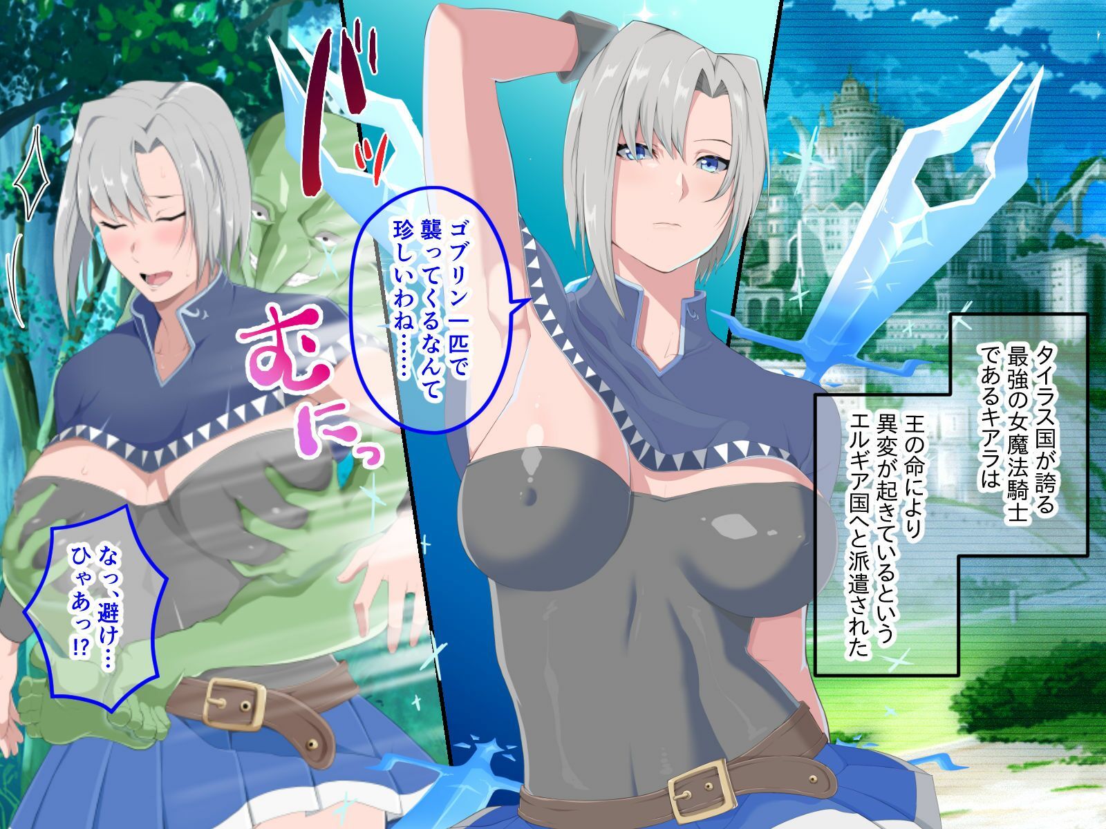 氷柱の騎士キアラ CGノベル版 〜白濁に穢される女騎士〜