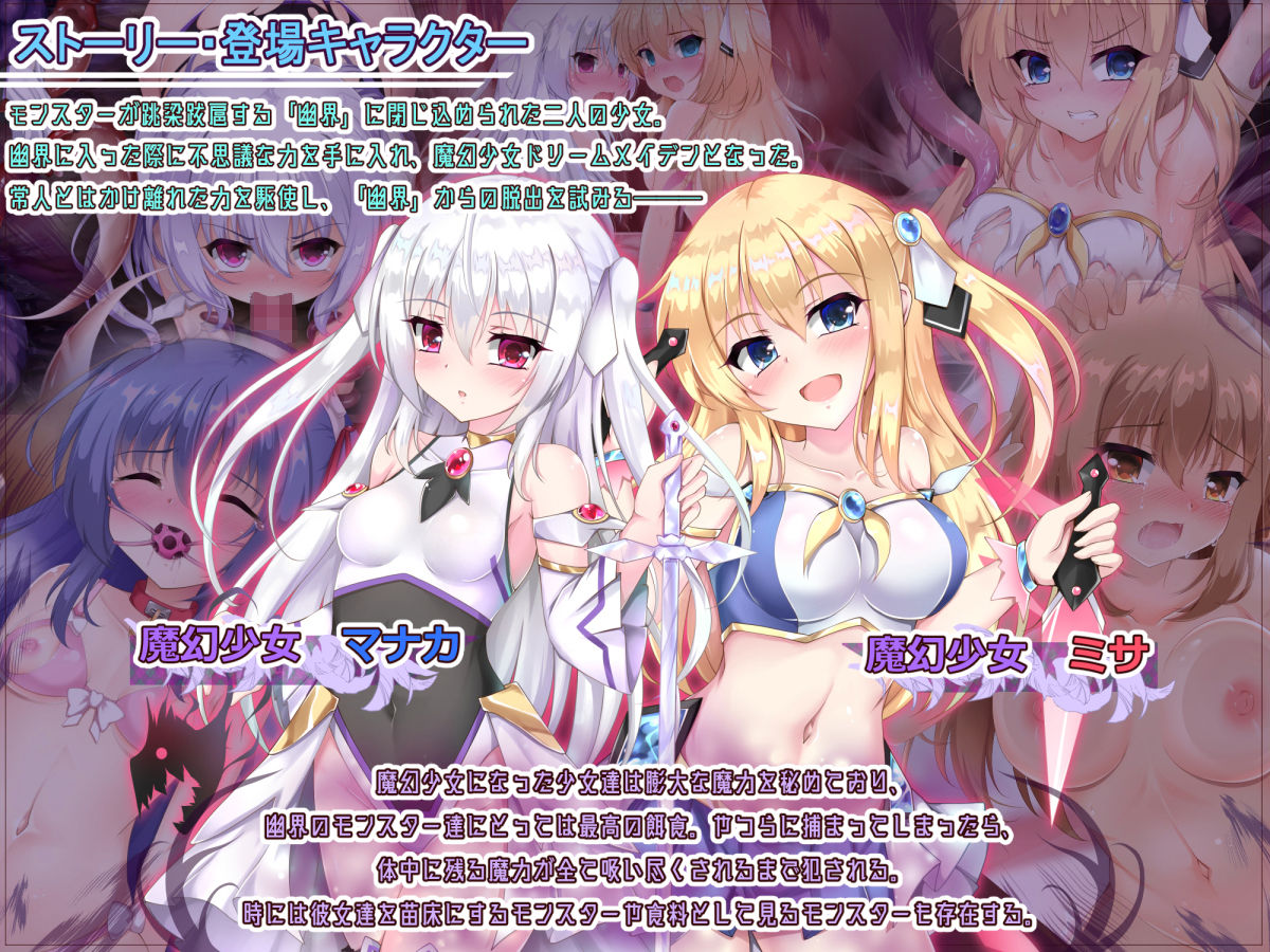 IF魔幻少女ドリームメイデンER・アートBOX