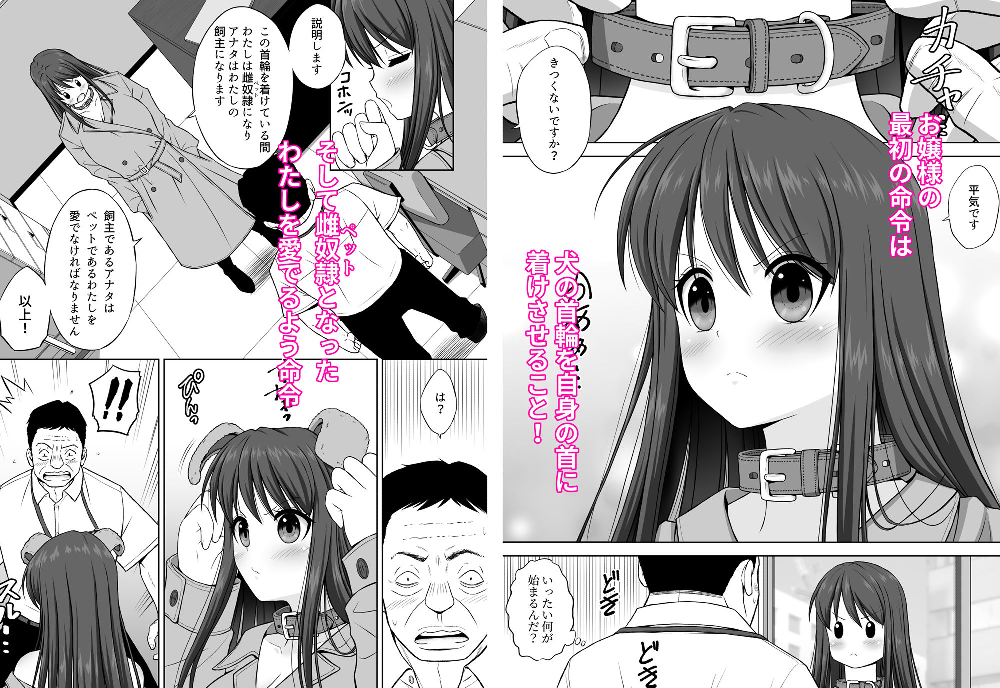 追出し部屋に配属されたら社長令嬢の命令で飼主にされた部下