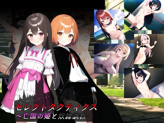 セレクトタクティクス 〜亡国の姫と奴●調教〜