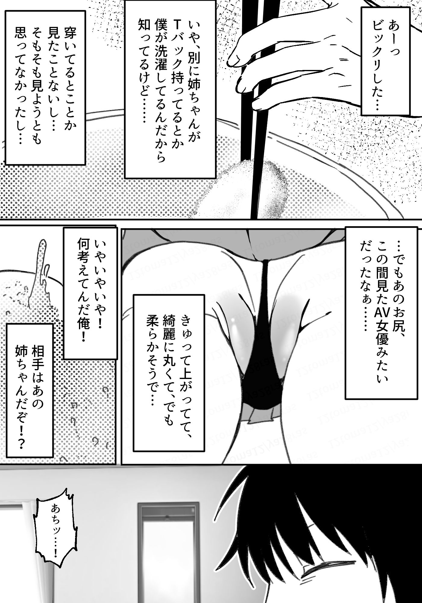 ギャル姉に犯●れた件!! 〜姉と弟の秘密のカンケイ〜