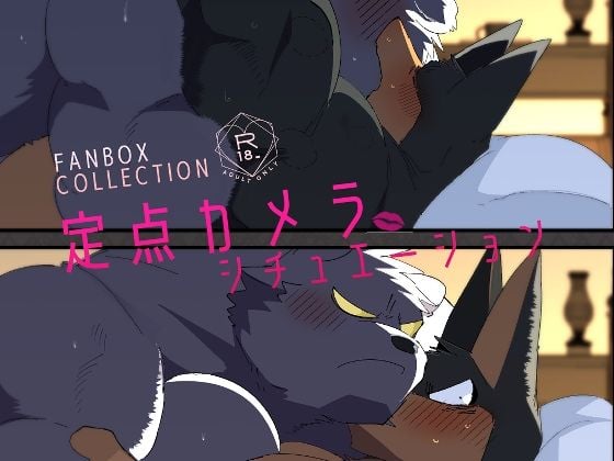 FANBOX COLLECTION 定点カメラシチュエーション