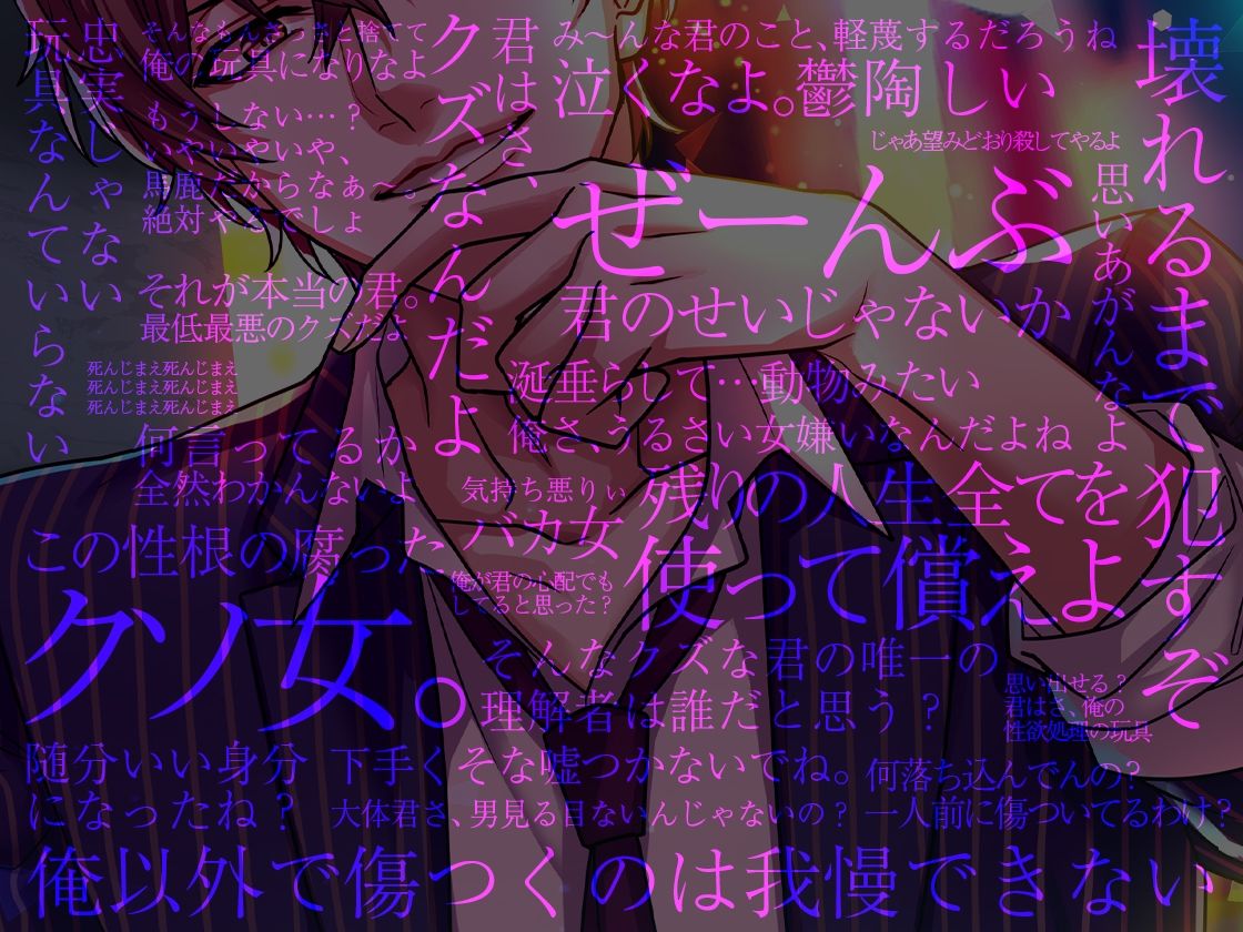 続・復怨〜俺以外で傷つくのは許さない〜