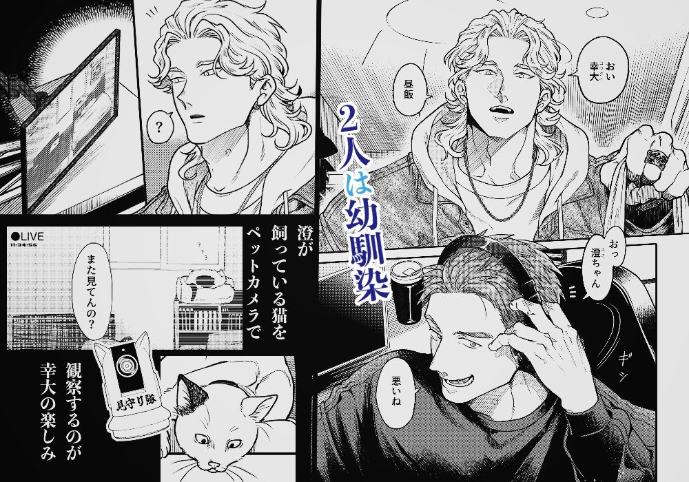 出来心で幼馴染の部屋を覗いてしまった話