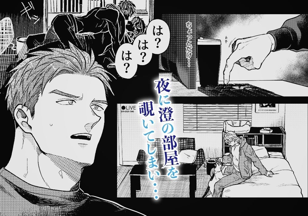 出来心で幼馴染の部屋を覗いてしまった話