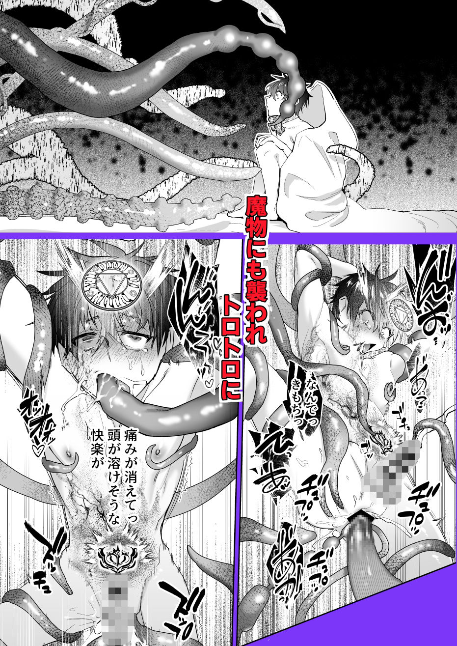 再召喚された僕は騎士様のもの