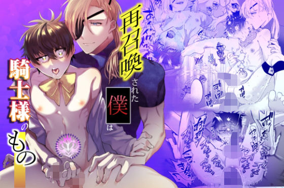 再召喚された僕は騎士様のもの