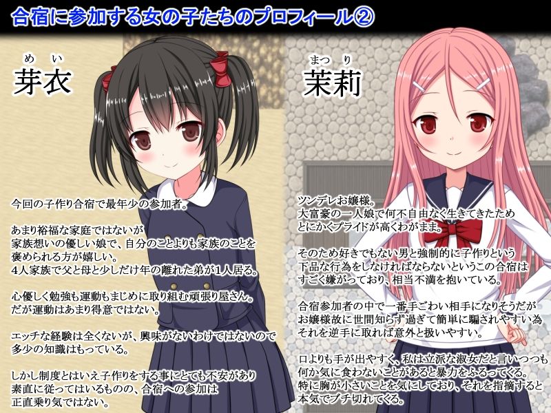 ハーレム子作り合宿 〜性活指導員になった俺〜