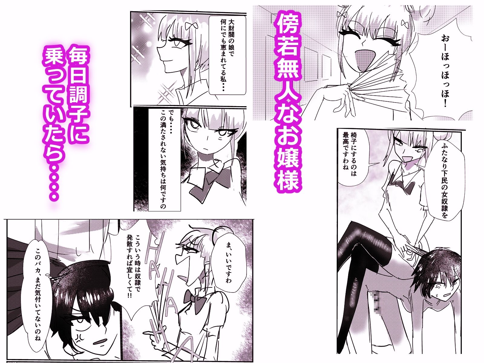 高飛車お嬢様 ふたなり奴●に反逆される