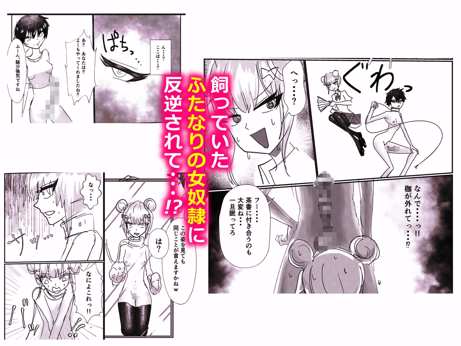 高飛車お嬢様 ふたなり奴●に反逆される