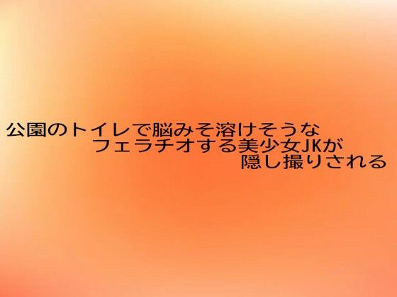 公園のトイレで脳みそ溶けそうなフェラチオする美少女JKが隠し撮りされる