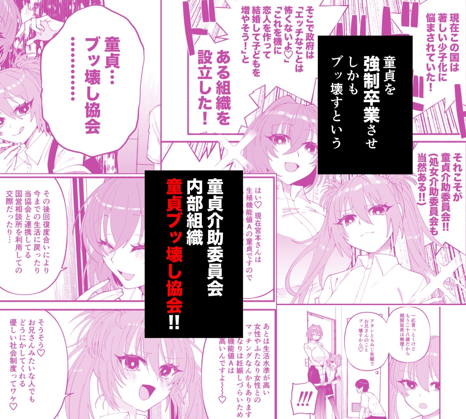 わたくしたち、「童貞介助委員会」内部組織「童貞ブッ壊し協会」の者ですが…