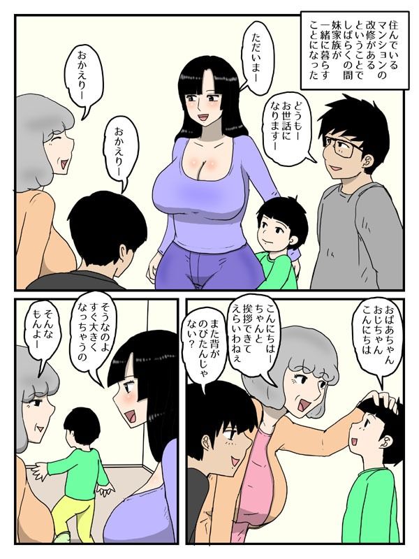 人妻で経産婦の妹が俺のオナホになった件1
