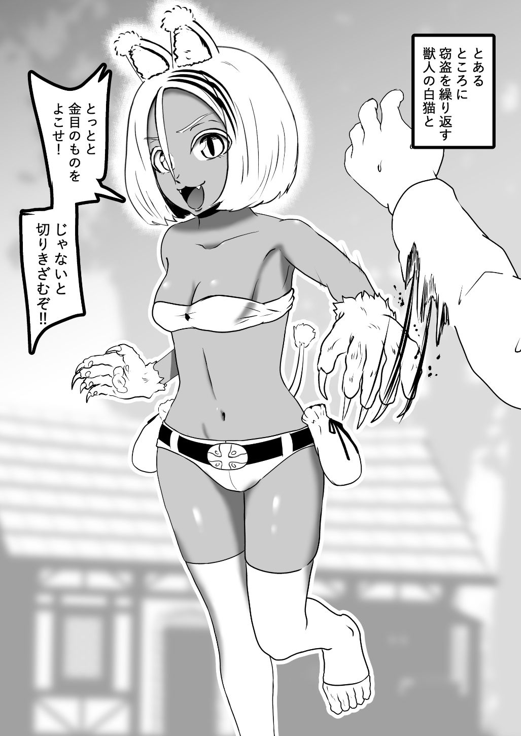 ヴァンパレイド8・5 〜白猫 黒狼 調教編〜