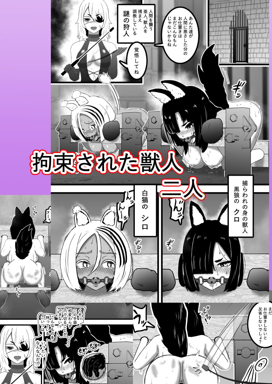 ヴァンパレイド8・5 〜白猫 黒狼 調教編〜