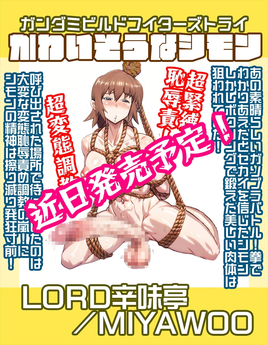 機動戦士ガンダミZZトップレス＋Gクアックス