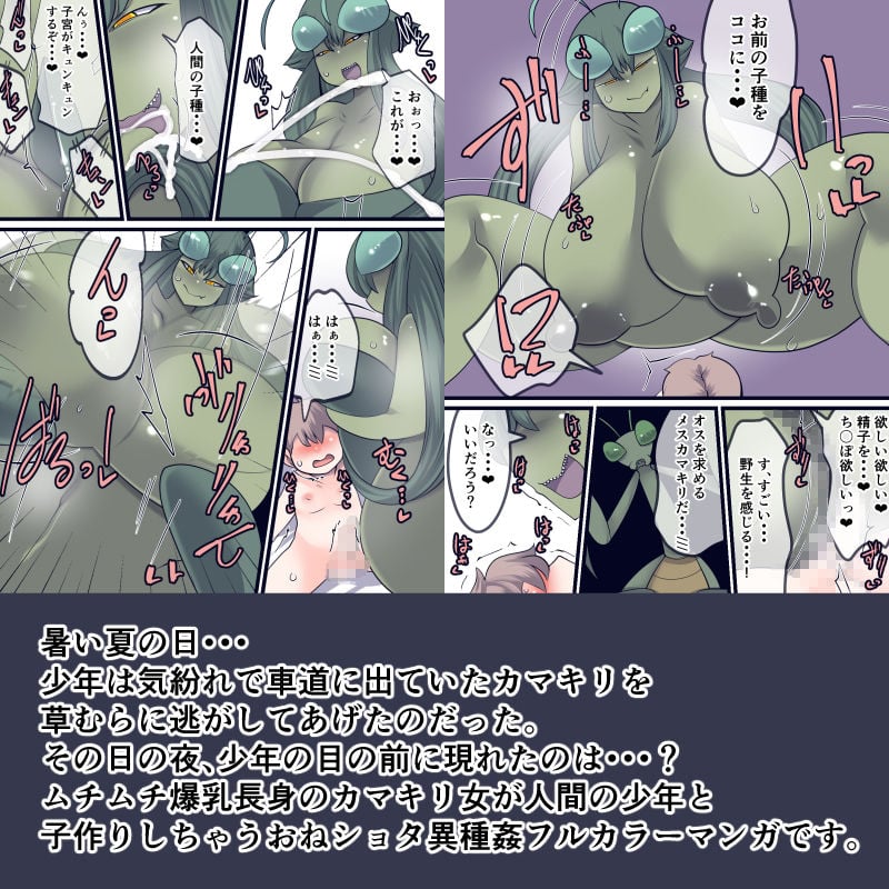 あの時助けていただいたカマキリですが子種頂きます