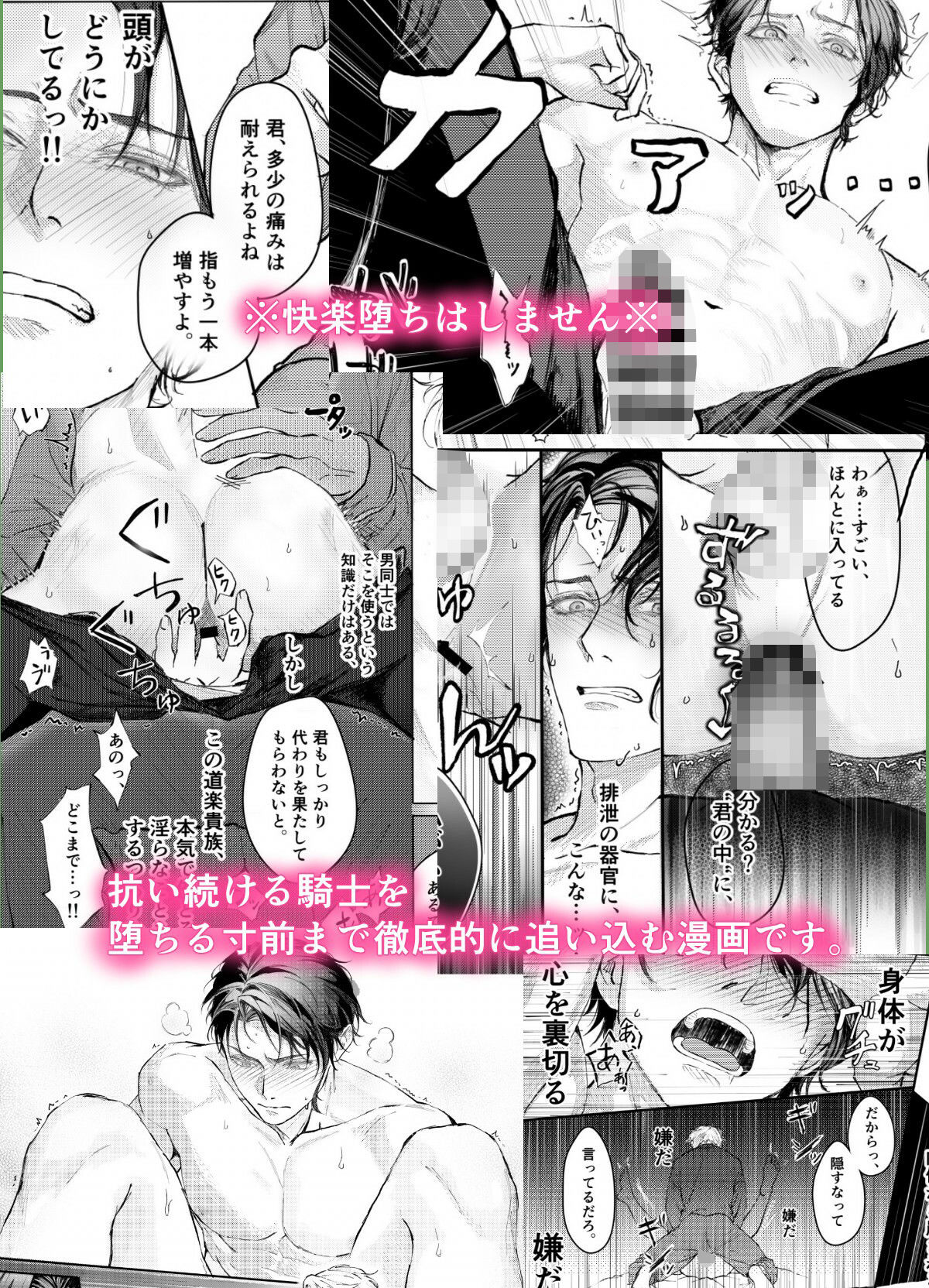 『貴方に従い、貴様に抗う。』〜絶対に堕ちない気高い剣聖が、交換条件で嫌いな主君に屈辱的に犯●れる漫画〜【初夜編】
