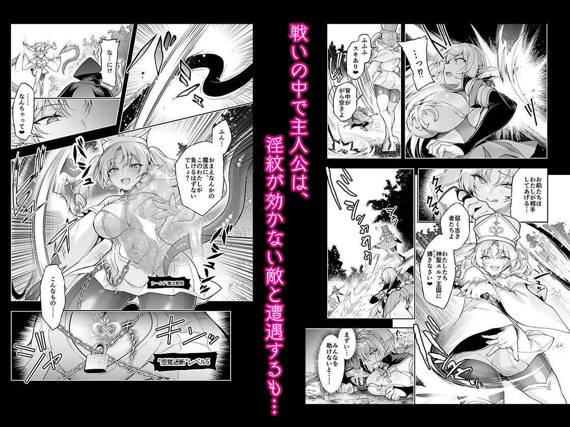 エルフに淫紋を付ける本 LEVEL:9
