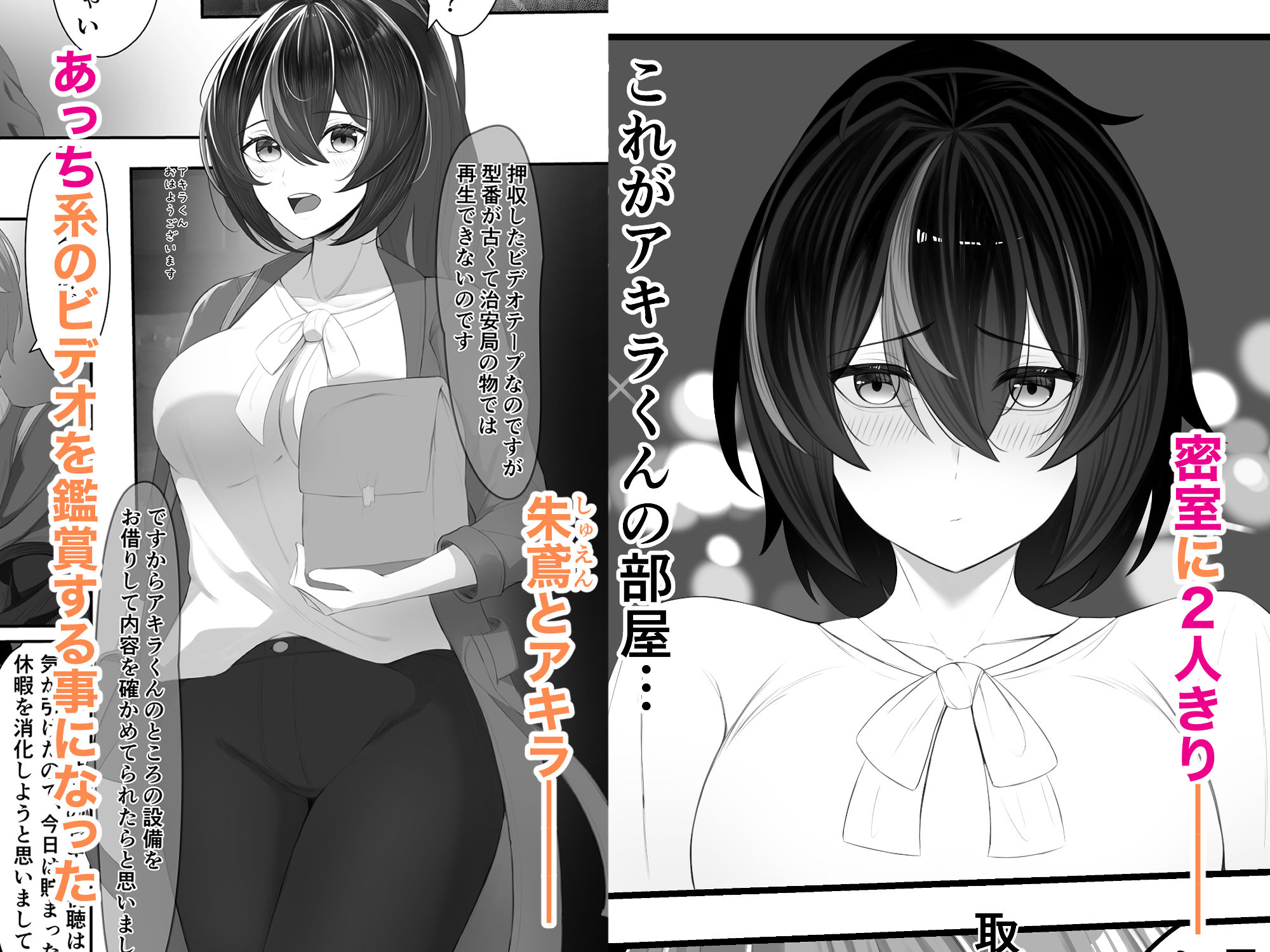 治安官朱鳶とあっち系のビデオ