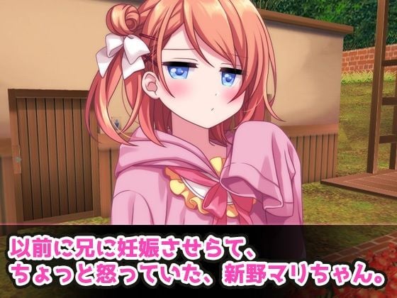 孕ませ妹2〜童貞の兄の為に「公衆便所」で妊娠する生意気で優しい妹〜Hシーン動画ミニゲーム