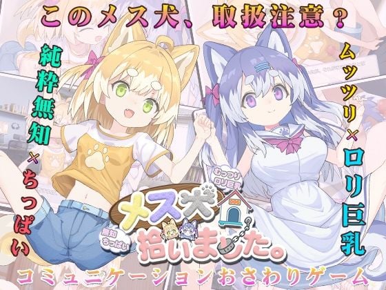 メス犬、拾いました。