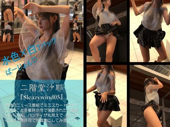 【chrl500】二階堂沙耶の「Sleazywind」シリーズがお得なセットに！10本パック総集編！