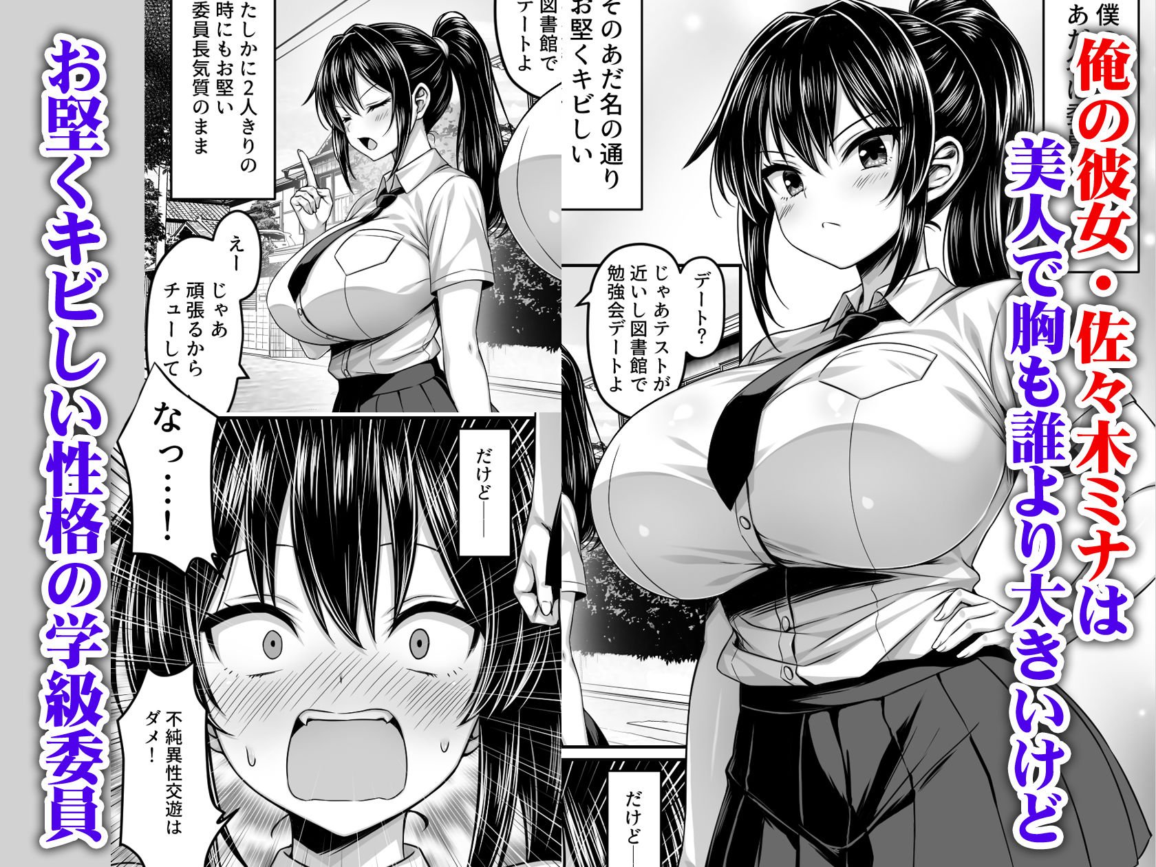 委員長は押しに弱い 〜もう一回セックスしたら勉強するから〜