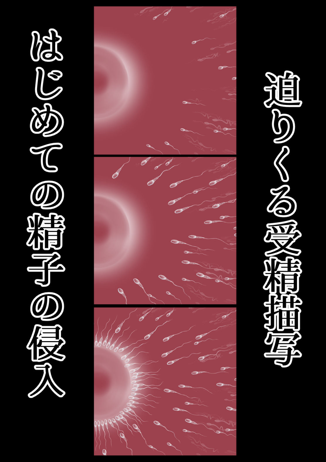走り屋H（はしりやえっち）地元最速になれなかったふたり