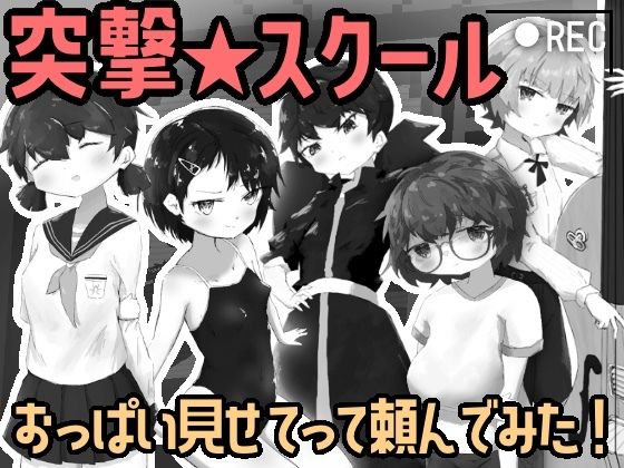 突撃スクール！ 〜おっぱい見せてもらってみた！〜