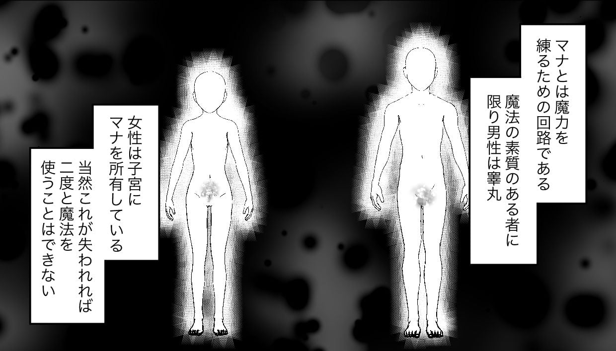 学年1位のボクがサキュバスに全て搾り取られるお話