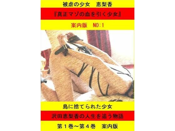 被虐の少女 案内版1