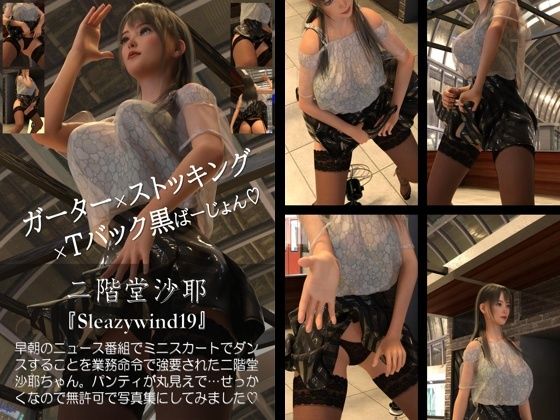 【chrl500】二階堂沙耶の「Sleazywind」シリーズ11〜20がお得なセットに！10本パック総集編！