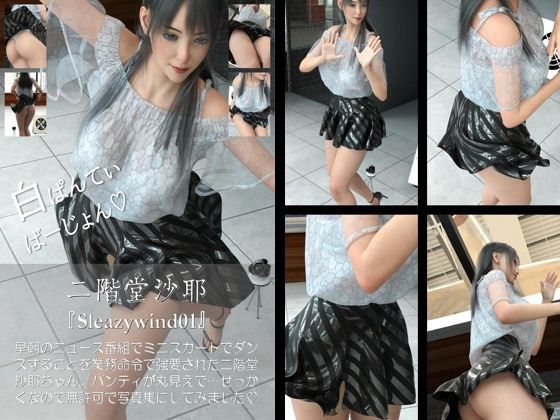 【chrl1000】二階堂沙耶の「Sleazywind」シリーズ全1〜20がお得なセットに！20本パック総集編！