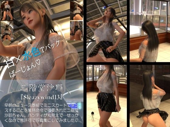 【chrl1000】二階堂沙耶の「Sleazywind」シリーズ全1〜20がお得なセットに！20本パック総集編！