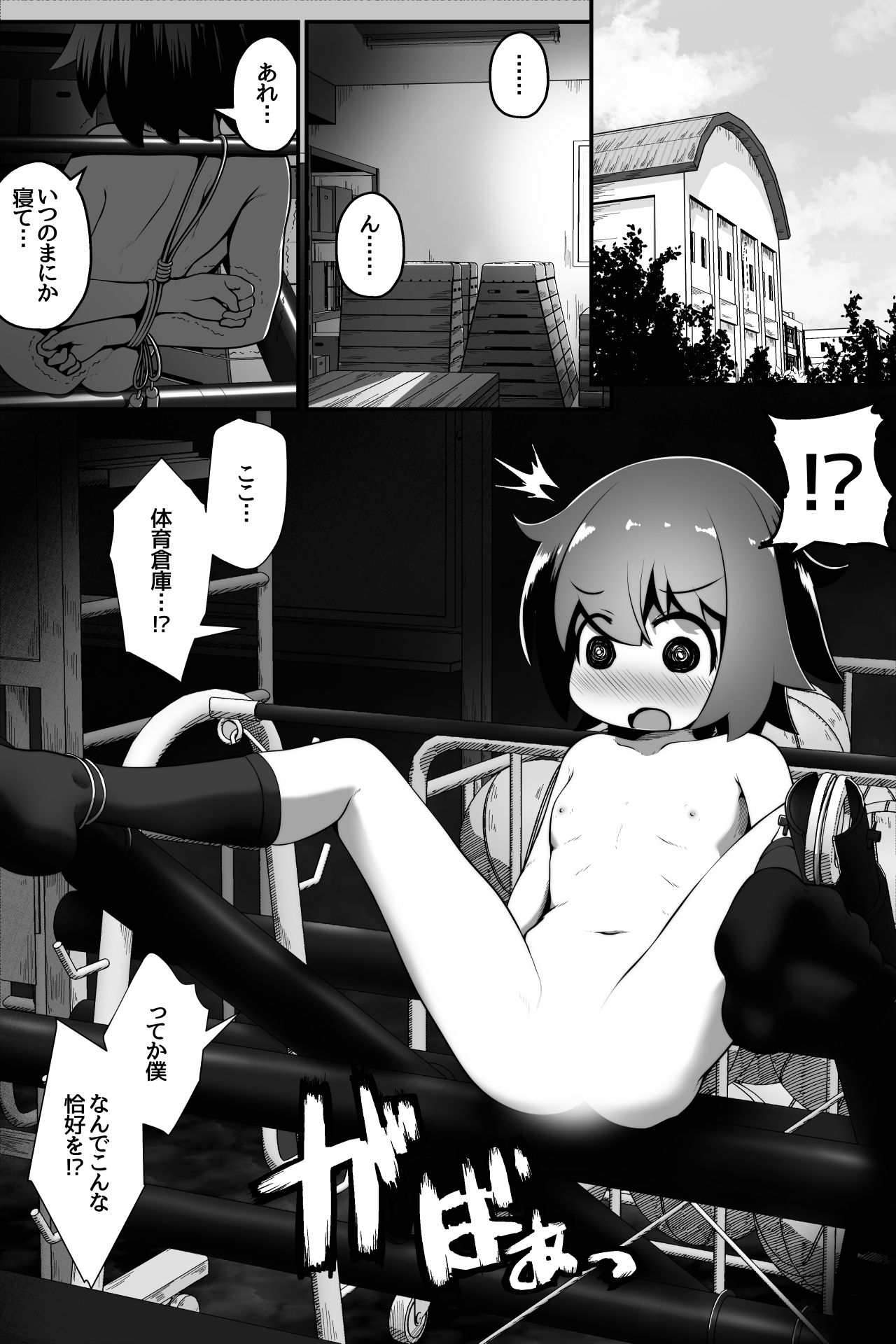 同級生の女の子達に体育用具室で拘束されて子作りさせられるお話
