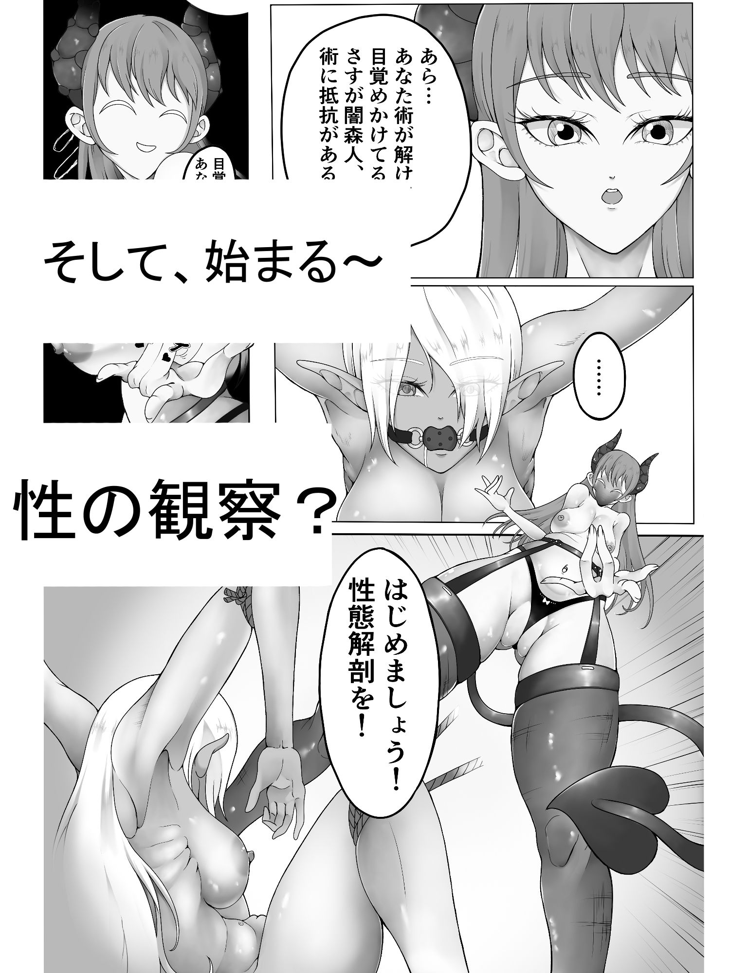 サキュバスのゆるり性態解剖？