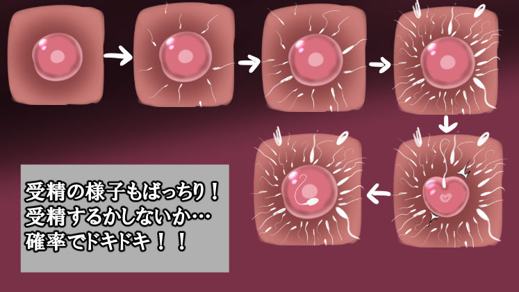 浮気彼女達を論破してごめんなさいセックス！！