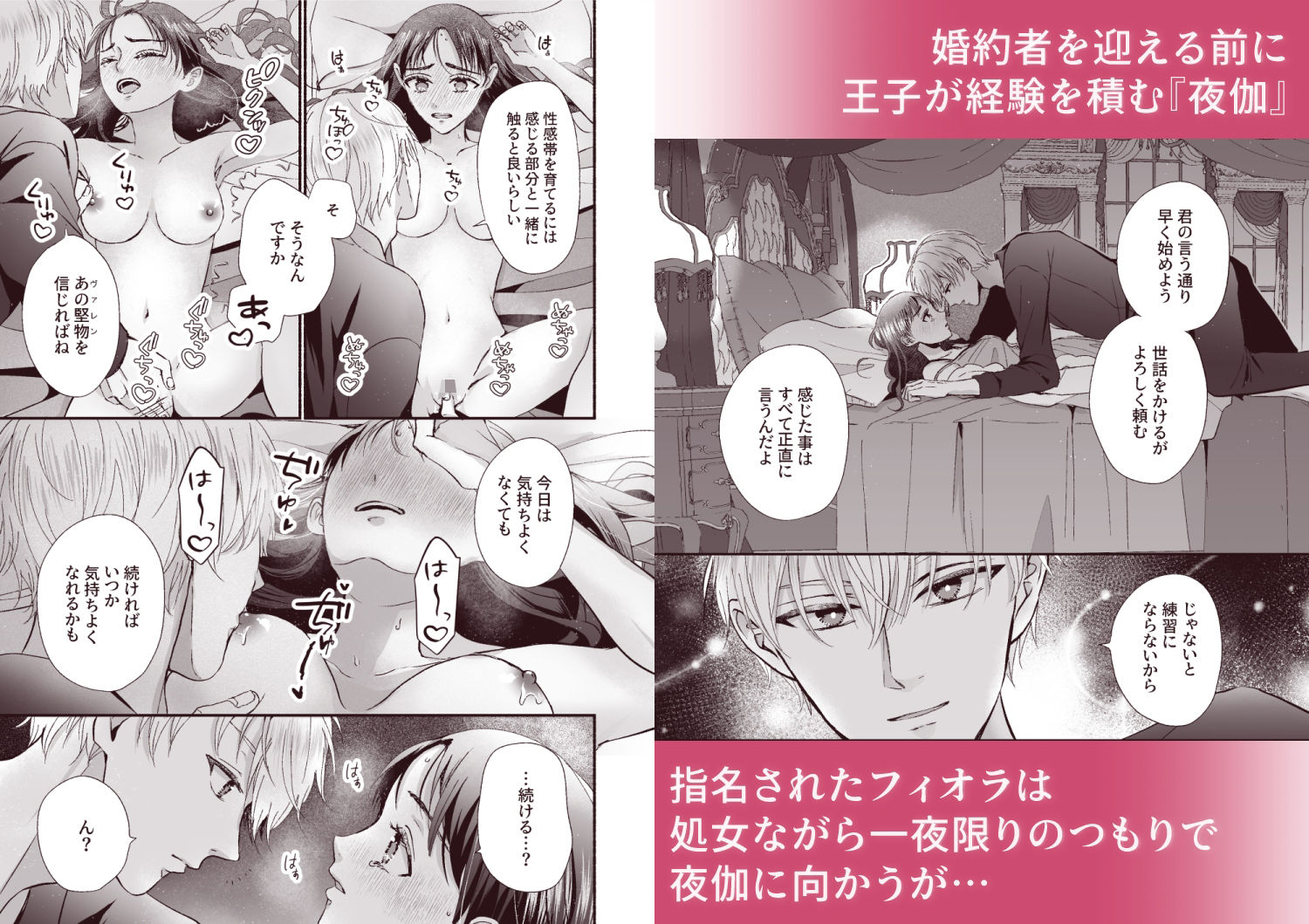 王子の夜伽は終わらない