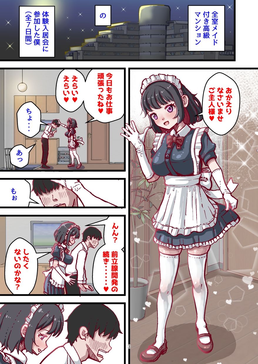 前立腺開発が上手なメイドさん付き賃貸