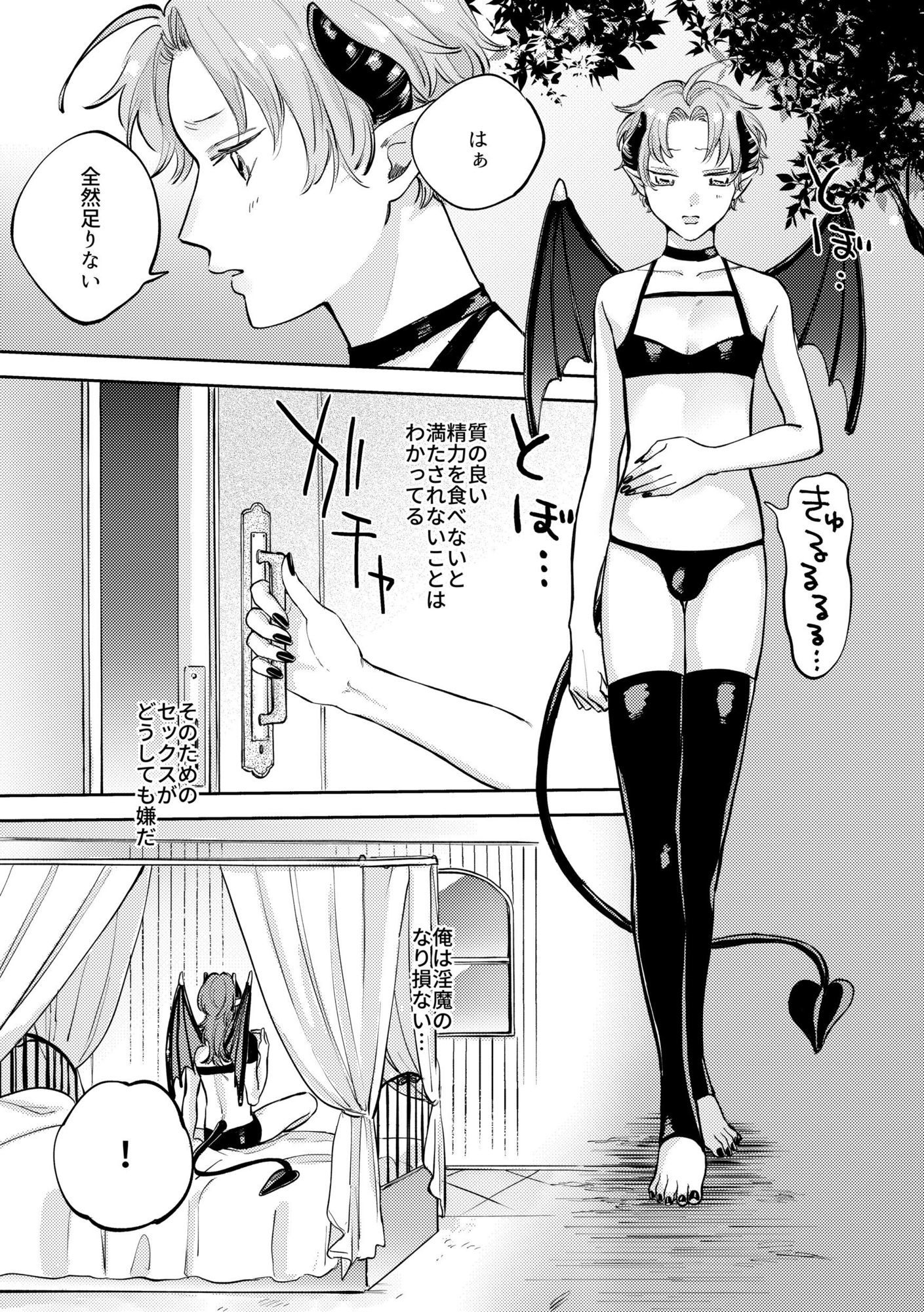 恋する淫魔とレクチャーセックス