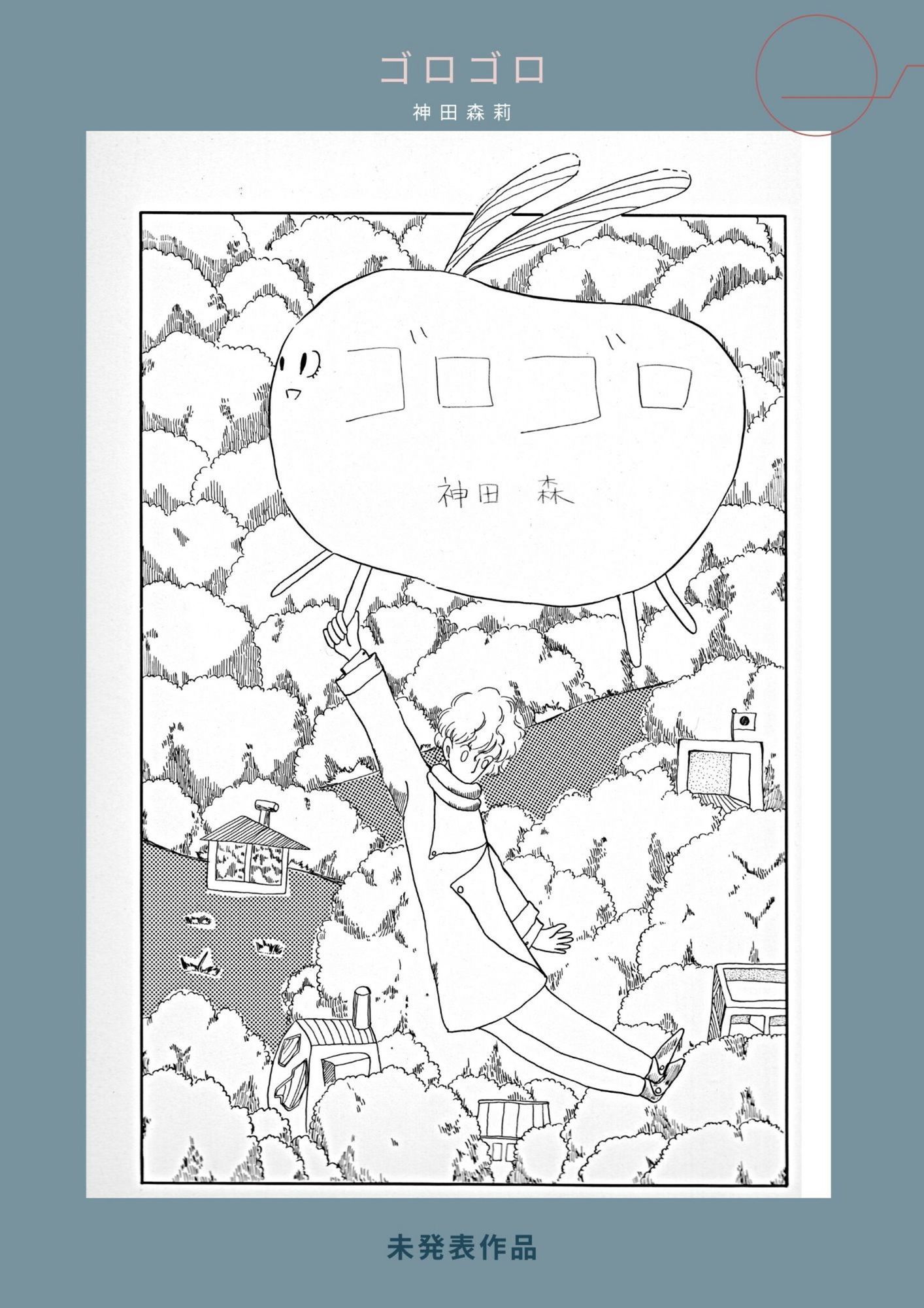 未発表作品『ゴロゴロ』1982年 - 神田森莉