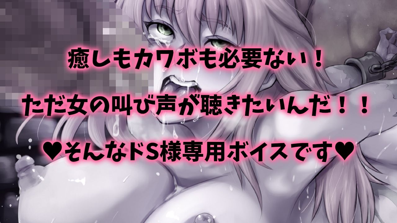 【精神崩壊オホ声絶叫】女騎士！オークちんぽに無様敗北！！〜異種間レ●プ！マンコ破壊・肛門性交・オホ声・怪声〜【早期購入でDM特典付き♪】