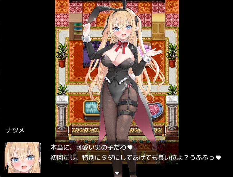 Bunny Crisis 〜バニークライシス〜