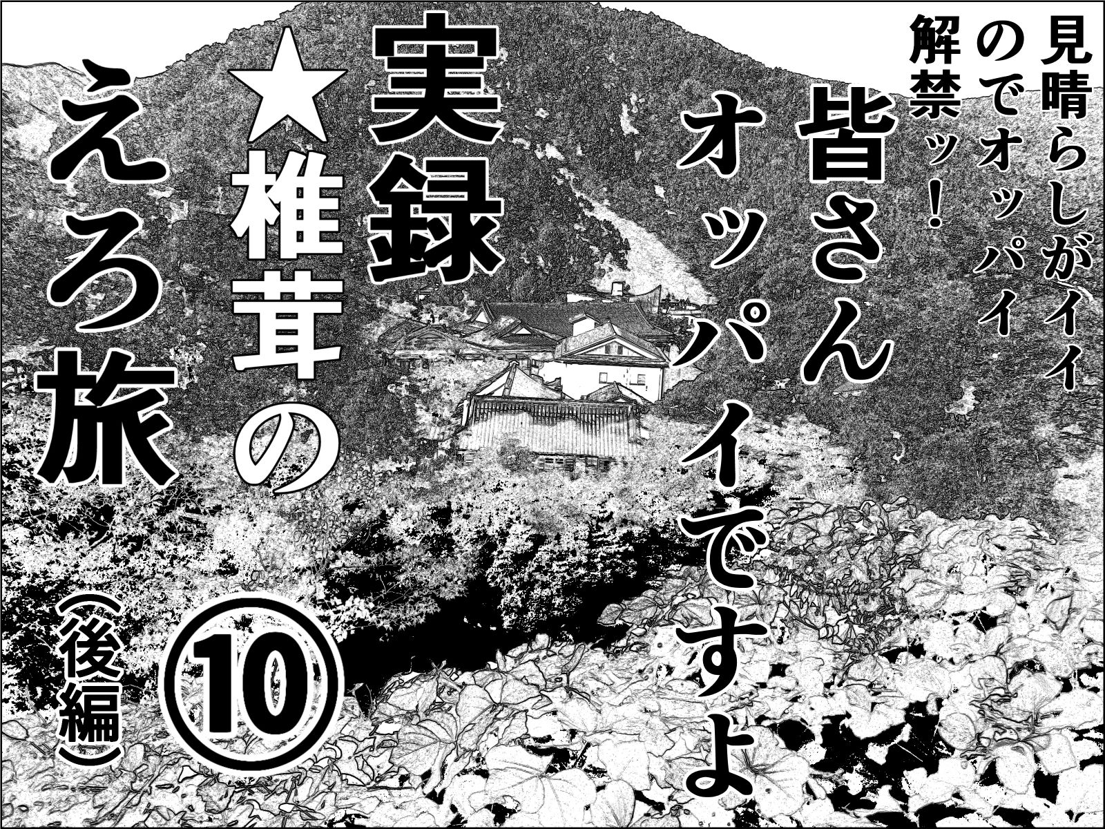 実録 ★椎茸のえろ旅 10 完全版