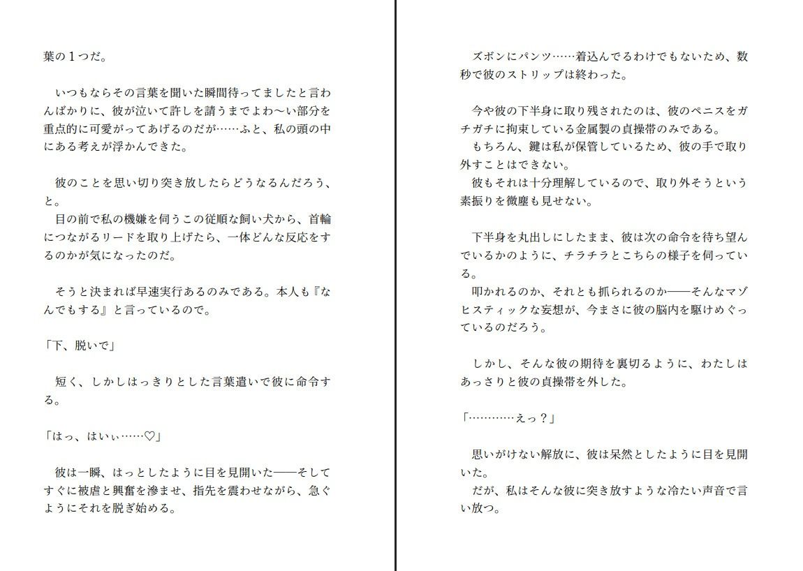 飼い犬系彼氏と喧嘩して仲直りする〜射精する権利を奪ってくださいと懇願する彼の望みが健気すぎたので射精できない彼をたくさんいじめてあげようと思います〜