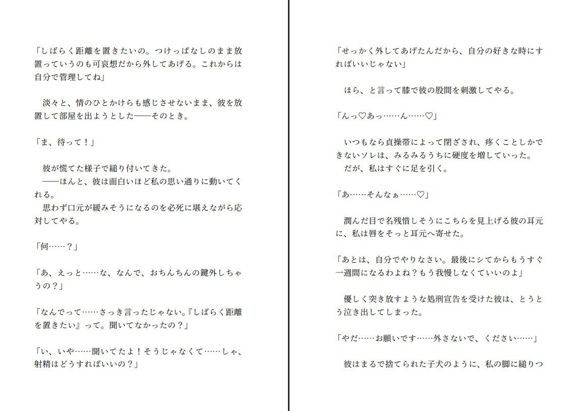飼い犬系彼氏と喧嘩して仲直りする〜射精する権利を奪ってくださいと懇願する彼の望みが健気すぎたので射精できない彼をたくさんいじめてあげようと思います〜